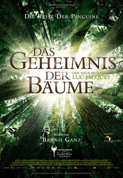 DAS GEHEIMNIS DER BÄUME